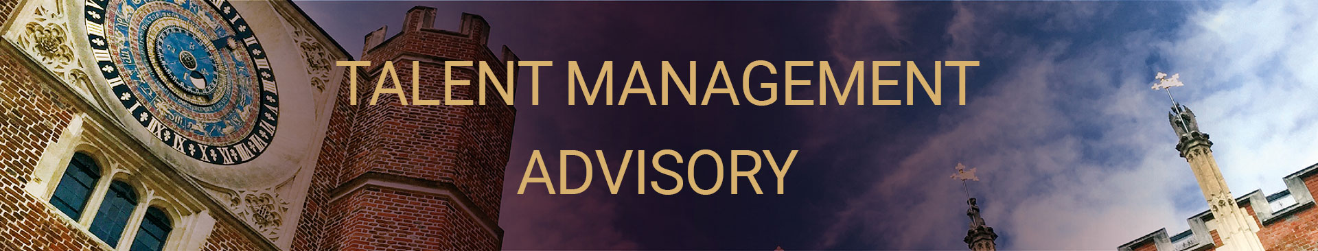 Talent Management Advisory