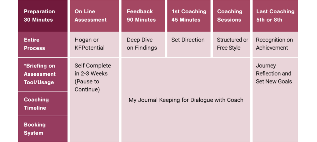 Executive Coaching – Solo Plus