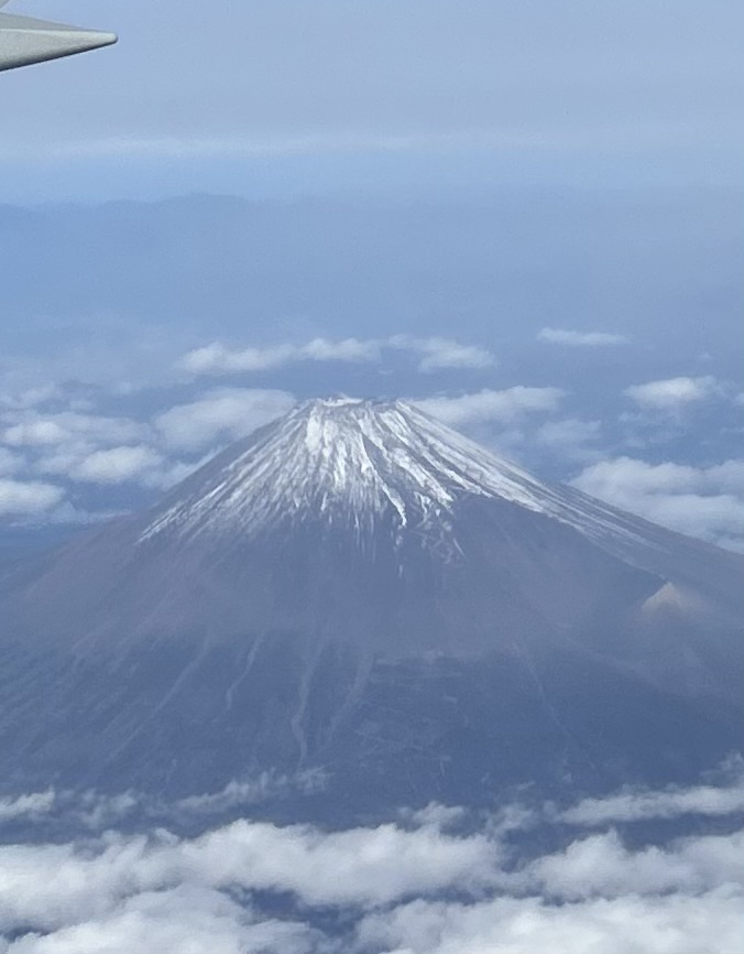 She needs more snow blanket,,,
